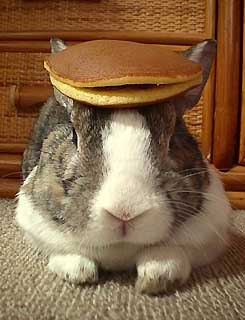 click the bunnicular one